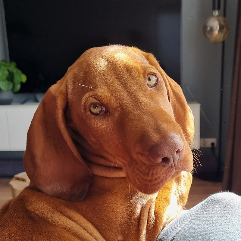 Bob
